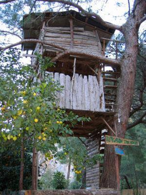 Hotel Bayrams Tree