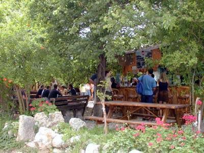 Bayrams Tree Hotel