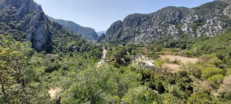 Bayrams Tree 2* Olympos
