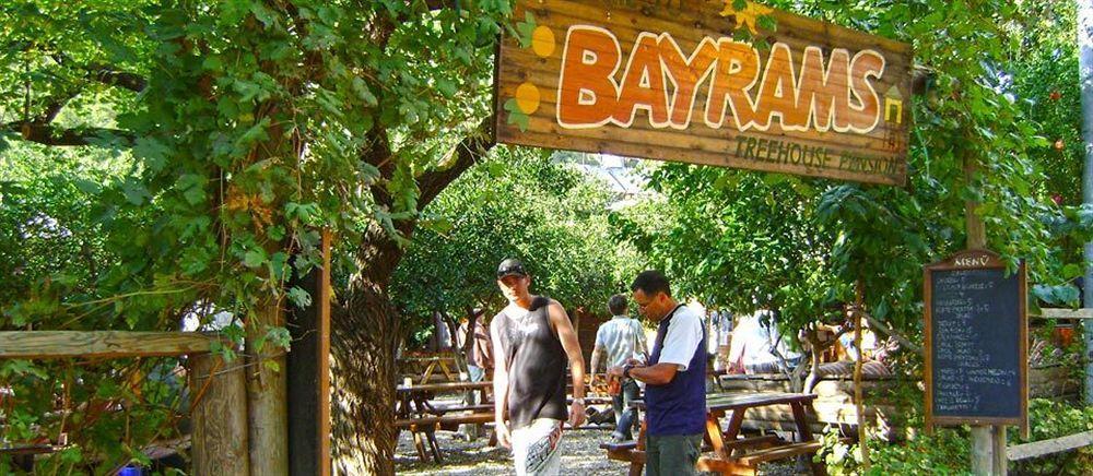 Bayrams Tree 2*