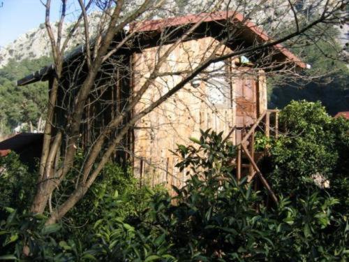 Bayrams Tree 2* Olympos